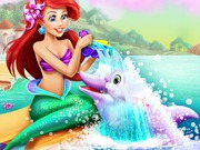 Ariel Dolphin Wash
