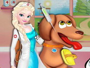 Elsa Animal Hospital