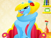 Fancy Kitty Hairstyles