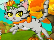 Purrfect Kitten Halloween