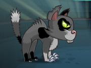 Mutant Fighting Cup 2016 - Cat Edition