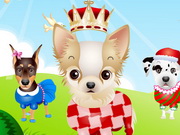 The Cutest Puppy Competition