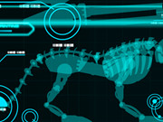 Battle Robot Wolf Age