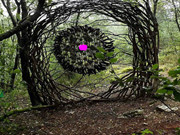 Thanksgiving Turkey Cage Escape