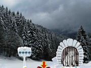 Knf Rescue The Polar Bear