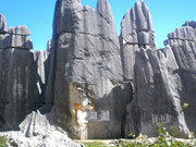 Knf Gold Box Rescue From Stone Fores