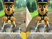 Chase Paw Patrol Differences