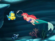 The Secret Sea Collection