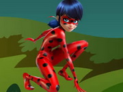 Miraculous Ladybug Puzzle