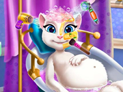 Pregnant Kitty Spa