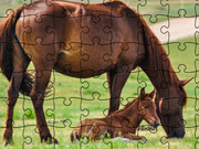 Jigsaw Puzzle Domesticated Animals