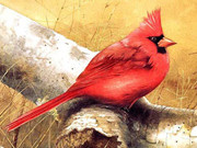 Art Birds Puzzle