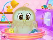 Baby Owl Care