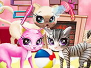 Kitty Pet Care Salon