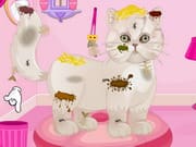 Persian Cat Princess Spa Salon