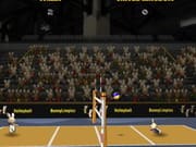 2012 Bunnylimpics Volleyball