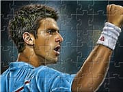 Djokovic Puzzle