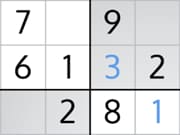 Fun Game Play Sudoku