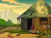 Knf Rescue Red Macaw Bird