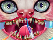 Kitty Dental Caring