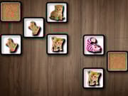Cat Memory