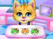 Sweet Rainbow Kitty Cookies