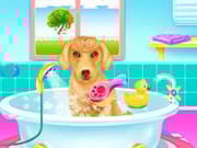 Cute Lady Labrador Caring