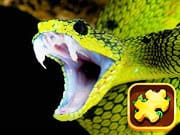 Snake Puzzle Challenge