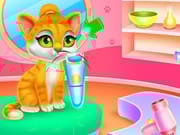 Cute Pets Caring And Dressup