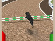 Dog Racing Simulator 3D