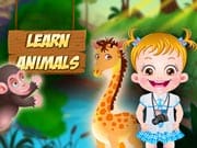 Baby Hazel Learn Animals