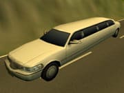 Limousine Driver