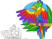 Parrot Pal Coloring