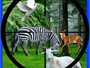 Real Jungle Animals Hunting