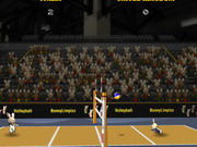 2012 Bunnylimpics Volleyball
