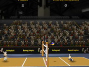 2012 Bunnylimpics Volleyball