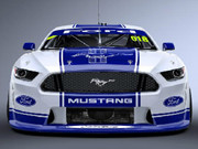 Ford Mustang Racing Beest