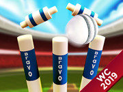 Mini Cricket Ground Championship World Cup 2019