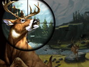 Deer Hunter