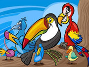 Exotic Birds Coloring